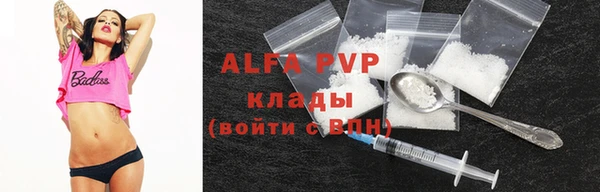 стафф Алексин