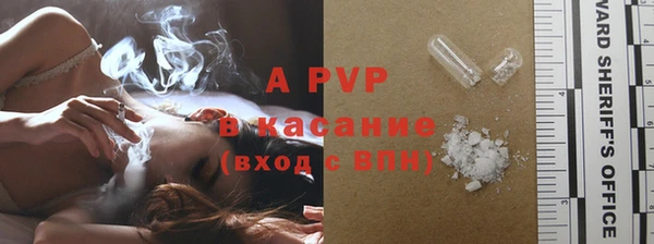 стафф Алексин