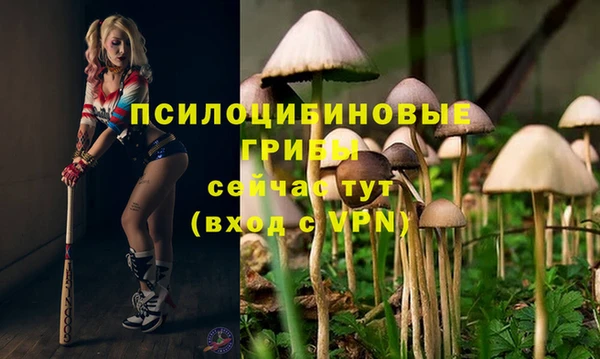 прущий лед Алзамай