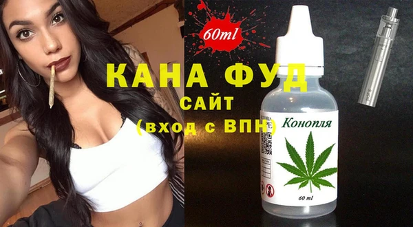 прущий лед Алзамай