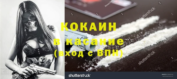 стафф Алексин